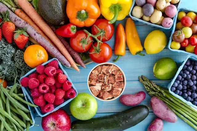 BARF DİYETİ NEDİR?